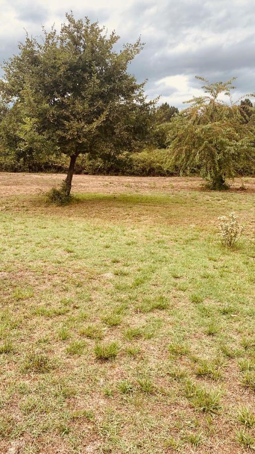 Cabanac-et-Villagrains Petite Maison Dans La Prairie מראה חיצוני תמונה